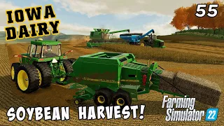 Starting off Soybean Harvest and wrapping up our last cut of Hay! - IOWA DAIRY UMRV EP55 - FS22