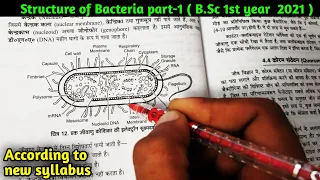 Structure of Bacteria part-1 || B.Sc first year 1stsemester || New syllabus 2021