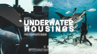 Complete Guide to Underwater Housings (Aquatica vs Sea Frogs vs Ikelite)