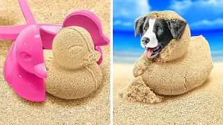 J'ai trouvé un chiot sur la plage 🐶😍 Conseils intelligents pour les maîtres d'animaux de compagnie