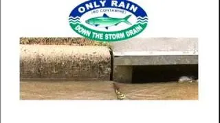 Fairfax County: Only Rain Down the Drain