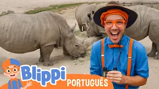 Blippi explora um parque de safári | Blippi em Português | Vídeos Educativos para Crianças