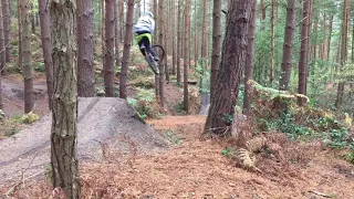 Kinver canyon gap- fence line