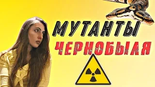 Шокирующие мутанты Чернобыля.☢️