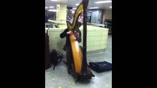 Harp - Subway in Toronto Ontario