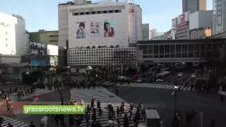 Why are the Japanese so calm in the face of disaster?