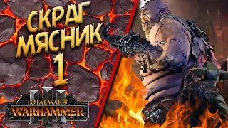 Total War: Warhammer 3 - (Легенда) - Огры / Скраг Мясник #1