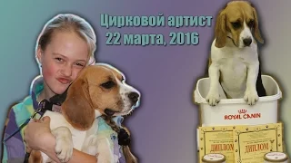 VLOG: "Цирковой артист"/22 марта, 2016