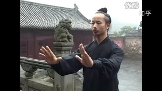 「以为是个青铜，结果是个王者」武当掌门陈师行打出残影了都，不是加的后期