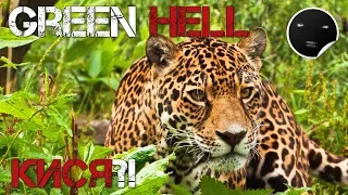 Green Hell - Перевод обновления Patch V.0.1.2 | Зеленый Ад - Кися?! #4