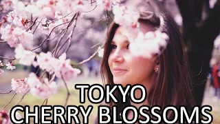 Japan Trip 2016: Tokyo Cherry Blossoms
