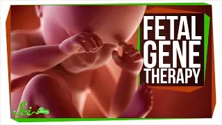 Are We Ready to Edit the Fetal Genome?