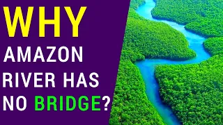 🤔 Why Amazon River Has No Bridge? #education #wildlife #tour&travel