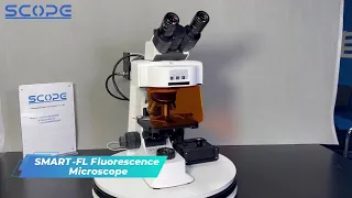 SMART-FL4 Fluorescence Microscope with LED Illumination B G Uv V Fluorescent Filters