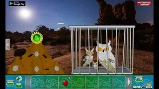 G2R Desert Great Basin Owl Family Rescue Walkthrough [Games2Rule]