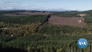 LogOn: Faster Forests: Drones Drop Seeds After Wildfires