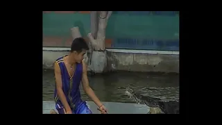 Crocodile Performance Gone Wrong