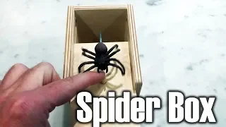 Scaring people with the Spider Box