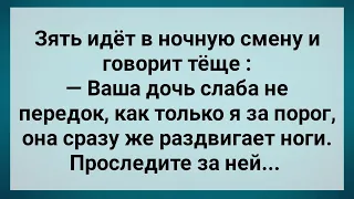 Жена Слаба На Передок! Зять Просит Тещу Проследить За Ней! Сборник Свежих Анекдотов! Юмор!