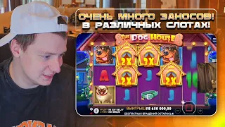 Dog House, Sweet Bonanza, Zevs vs Hades, Princess Suki, Wanted - топовые заносы Мелстроя!!!