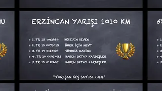 1010 Km Uçum Posta Güvercini Yarışı Erzincan İzmir Türkiye Rekoru ve Tüm Dereceler