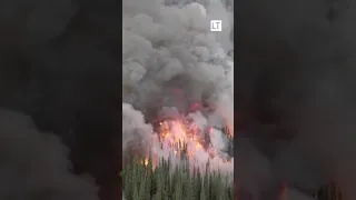 Bomberos canadienses prueban incendio planificado para contener desastre forestal