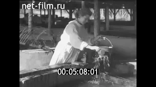 1959г. п. Сосновец. Выгский рыбоводный завод. Беломорский район  Карелия