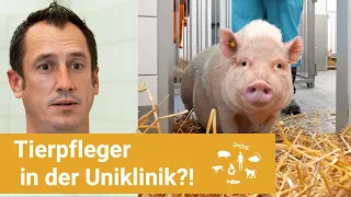 DAS machen Tierpfleger an der Uni wirklich!