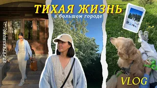 104. тихая жизнь в большом городе. влог.