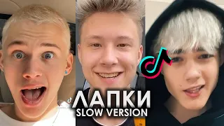 У ТЕБЯ ЖЕ ЛАПКИ ПОСТАРАЙСЯ SLOW VERSION TIK TOK ПОДБОРКА | ДАНЯ МИЛОХИН - ЛАПКИ ПОДБОРКА ТИКТОК