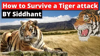 How to survive a tiger attack?