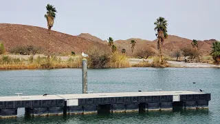 Boondocking In A Minivan (with friends!) | Free camping by a lake in the Arizona desert.