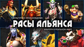 За Альянс! | Культурный анализ рас Warcraft