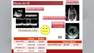 Chamber Quantification Webinar - Portuguese