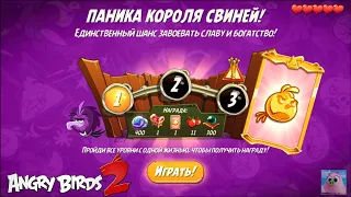 King Pig Panic/Паника короля свиней! 26/12/2021 Angry Birds 2.