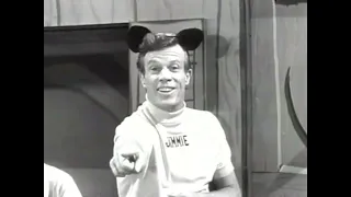 Are You Secretly a Mouseketeer? (1997)