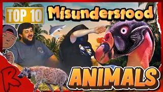 Top 10 Most Criminally Misunderstood Animals - @mndiaye_97 | RENEGADES REACT