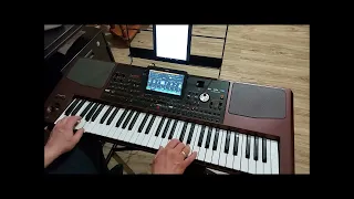 Milano -Jasnowłosa cover Łukasz Korg Pa -1000