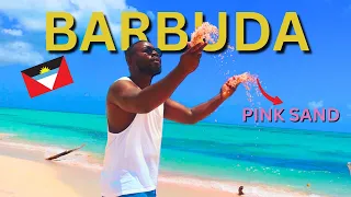 BARBUDA a hidden PARADISE in the CARIBBEAN | ANTIGUA & BARBUDA