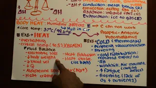 Exercise In Hot & Cold Environments (Chapter Summary)