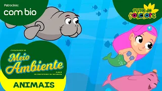 Cuidando do Meio Ambiente: ANIMAIS (Clipe 4) - Álbum Protetores da Natureza - Patrocínio Combio