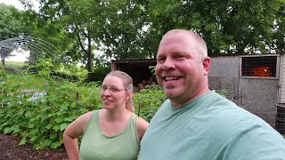 Zone 4 Garden Tour (Produce is ready in our Minnesota Garden)