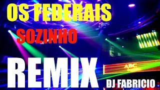 OS FEDERAIS - SOZINHO REMIX DJ FABRICIO URUGUAIANA RS