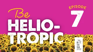 Be Heliotropic | EP. 7 | Take The High Road