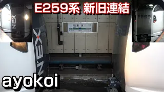 E259系 成田エクスプレス リニューアル新塗装+現行塗装 東京駅連結