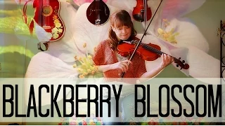 Blackberry Blossom -- Fiddle time!!