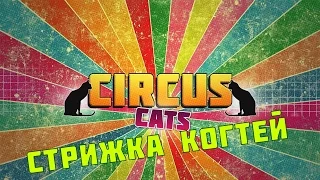 9. Circus life. Как стричь когти у кошек. how to cut the claws of the cat