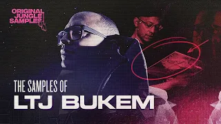 The Samples of LTJ Bukem