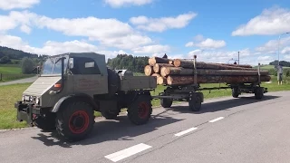 Unimog 411 im Langholztransport