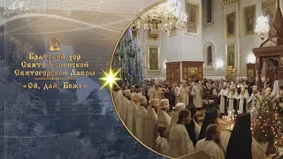 🎄 Ой, дай, Боже ⛄ Братский хор Святогорской Лавры